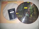DAVID BOWIE ZIGGY STARDUST PICTURE DISC EXCELLENT