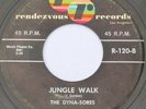 R&B Tittyshaker 45 – THE DYNA-SORES – Jungle Walk – RENDEVOUS VG