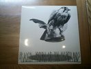 BRACKEN prince of the northlands  PRIVATE PRESS FOLK PSYCH LP