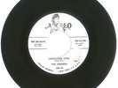 RARE 45 RPM, The Striders, Apollo Records 480 DJ Promo, Hesitating Fool/I Wonder
