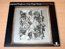 EX/EX-  Captain Beefheart & His Magic Band/Mirror Man/1971 Buddah Gatefold LP