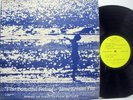 Jaine Roman Pitt This Beautiful Feeling vinyl LP album VG Unity Records RARE
