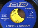 SWEET SOUL / NORTHERN ....THE NATURAL RESOURCES ( DEE DEE)