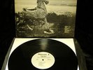 BRUCE HAACK JACKPINE SAVAGE TOGETHER DEMENSION 5 FREAKY CHILDREN'S PSYCH ORIG