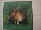 WILL-O-THE-WISP LP RARE ORIG 1998 GREAT GREEK PROG PSYCH M-/M GREAT LP