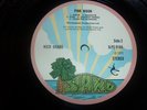 Nick Drake LP Pink Moon UK Pink Island rim 1st press