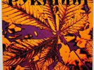 ??PYRANHA - SAME - RARE SWISS PROG PSYCH MINT LP - ORIG 72 Breaks 