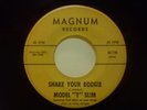 MODEL T SLIM - Shake Your Boogie / Jackson Teeneessee MAGNUM Wild Blues HEAR