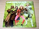 EX/EX-  Chicken Shack/100 Ton Chicken/1969 Blue Horizon Gatefold LP