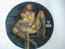 Metallica Black Album Picture Disc promo vinyl LP of 500