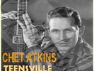 60S HILLBILLY COUNTRY INSTRUMENTAL RCA CHET ATKINS TEENSVILLE PICTURE SLEEVE