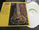 Ananda Shankar White Label Promo LP Indian Sitar Psych Rock Fusion 1970 moog WOW