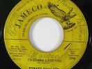 Northern Soul 45 EDWARD HAMILTON & FIFES I'm Gonna Love You / Call Me on Jameco