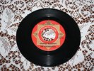 THE ROCKMASTERS  ROMULUS D.J.     RAINING TEARDROPS/ GET YO-SELF MARRIED