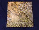 Circle Takes The Square, As The Roots Undo LP - Hyperrealist - Screamo