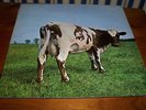 PINK FLOYD ATOM HEART MOTHER 1ST PRESS EARLIEST MATRIX