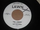 THE LADYBIRDS,  HANDSOME BOY  /  YES I KNOW.