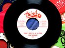 The Arcades There's Got To Be A Loser Northern Soul 45 Triad RARE