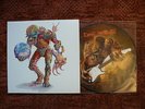 IRON MAIDEN  THE TROOPER IN BERLIN  LIVE 2011   COVER + PICTURE DISC  LIVE