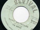 JOE WHITE   PEOPLE ARE CHANGING   SCARCE ROOTS SHOT LISTEN