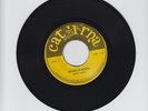 CATURNA/ASHES TO ASHES  -   HIPPY BOYS  ( REGGAE  INSTRUMENTAL  7