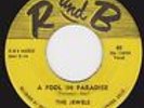 Rare Doo-Wop  - JEWELS - 