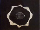 EPIDERMIS Genius of Original Force LP top Prog ala GENTLE GIANT