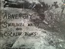 Abner Jay Swaunee Water and Cocaine Blues Rare Private Press Brandie Records VG+