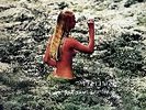 TOROSSI, STEFANO - FEELINGS LP