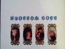 The Blossom Toes - 