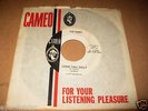 THE KINKS 1st USA 45 on CAMEO 1964 LONG TALL SALLY WLP PROMO 45 DJ COPY +SLEEVE