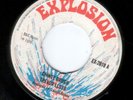 SKINHEAD REGGAE / EXPLOSION / TREVOR LLOYD - CHINEY BRUSH
