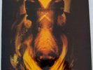 FLASKET BRINNER S/T Silence Sweden LP Hard Progg Psych Fläsket