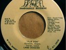 * LAND DOGGIES Flip Side/Beauty Killed Beast FUNK MODERN SOUL Sandcastle 45 HEAR