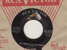 Rockabilly 45 - Ted Harris - Just Thought I'd Set You Straight - LISTEN