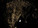 Wolves In The Throne Room - Two Hunters (2 × Vinyl, LP, Album, Limited Edition )