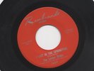 The Lemon Drops I Live in the Springtime/Listen Girl Rembrandt Rare Garage  7