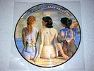 PINK FLOYD RARE BEAUTIES PIC PICTURE DISC GILMORE SYD BARRETT NEW MINT MONEY