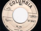 ROCKABILLY 45 RONNIE SELF BIG FOOL/FLAME OF LOVE COL. DJ 40875
