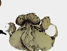Coil - The Ape Of Naples / The New Backwards - Vinyl Box Set - Limited to 1200 c