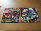 Yeah Yeah Yeahs - Fever to Tell Rare Picture disc vinyl excellent condition