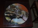 LED ZEPPELIN HOUSE OF THE HOLY PICTURE DISC 33T VINYLE
