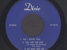 Rockabilly 45:  LEON PAYNE / ROCK ROGERS  My Baby Left Me // RARE DIXIE EP  hear
