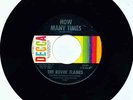 Florida Garage The Rovin' Flames How Many Times Decca 45 32191