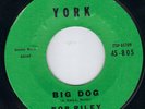 VERY COOL YORK ROCKABILLY / GUITAR ROCKER  - BOB RILEY - BIRD DOG   HEAR