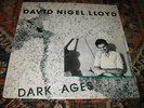 DAVID NIGEL LLOYD dark ages PRIVATE NEO PSYCH PUNK