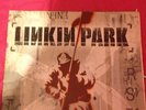 Rare Linkin Park Hybrid Theory Vinyl