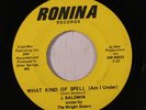 rare Soul Funk 45 J. BALDWIN on RONINA Listen