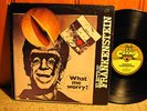 ELECTRIC FRANKENSTEIN What Me Worry? RARE 1976 ORIGINAL ITALY HARD PSYCH PROG LP