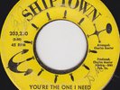 GROUP SOUL 45 RPM - POSITIVE SOUNDS on  SHIPTOWN RECORDS